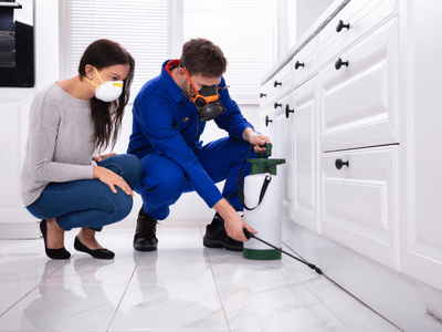 About Meadowcreek Mice Removal - mice removal experts in Meadowcreek